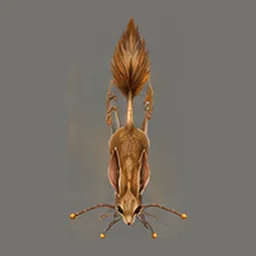 ★ Bellwhisker Jerboa, top view
