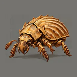 ★ Duneplate Beetle, side view