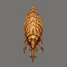★ Duneplate Beetle, top view