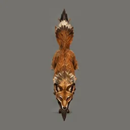 ★ Reed Fox, top view