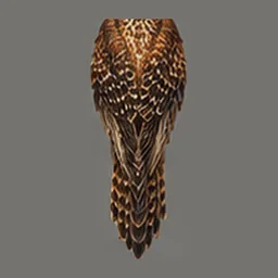 ★ Stormwing Kestrel, top view