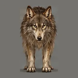 Marsh Wolf, front view