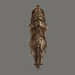 Marsh Wolf, top view